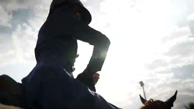 HORSE .mp4